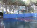 The sport court