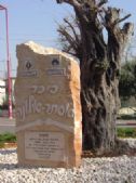 The monument on the Square