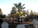 The playground in Mevo Beitar - the paths