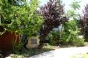 The garden in the Rambam hospital