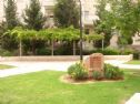 The garden in memory of Hanan Levy
