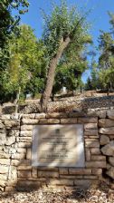 The park in Jerusalem in his memory