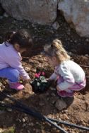 Planting the flowers in fron of Daphna house