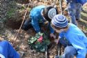 Planting the flowers in fron of Daphna house