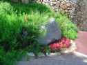 The stone in the playground with the same text that is written on Daniel's tombstone