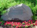 The stone in the playground with the same text that is written on Daniel's tombstone