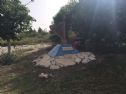 a memorial harp in the playground