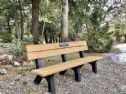 The Bench at the park