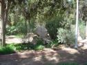 the memorial stone in Kibbutz Lahav Cemetery